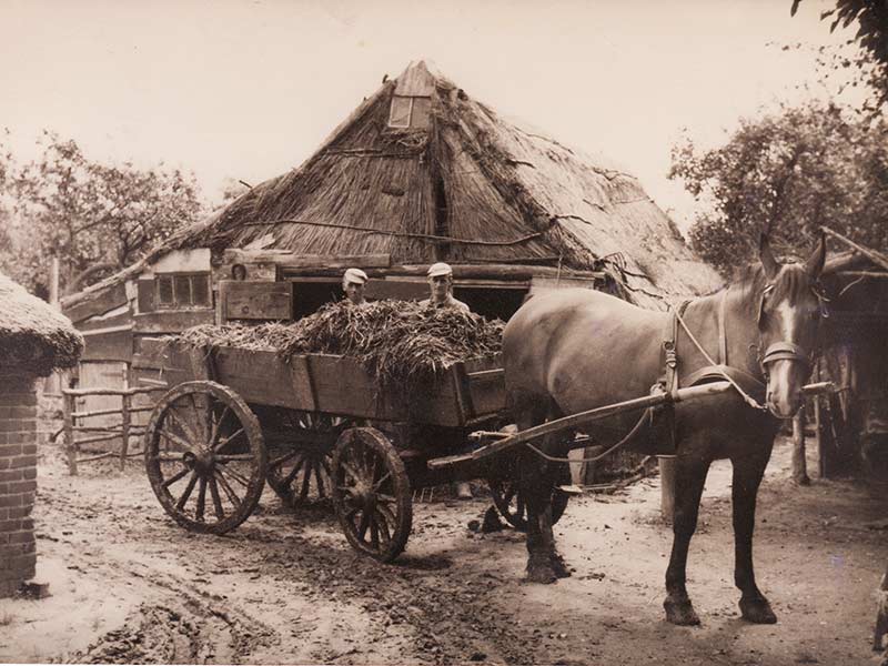 museum_Landbouw-museum-Avereest-Dedemsvaart-09